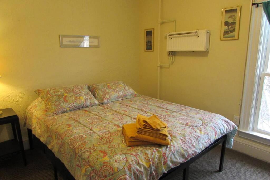 Great Gorge Guesthouse - Walk To The Falls, The Casino And All Downtown Restaurants - Across From The Aquarium Ниагара-Фолс Экстерьер фото
